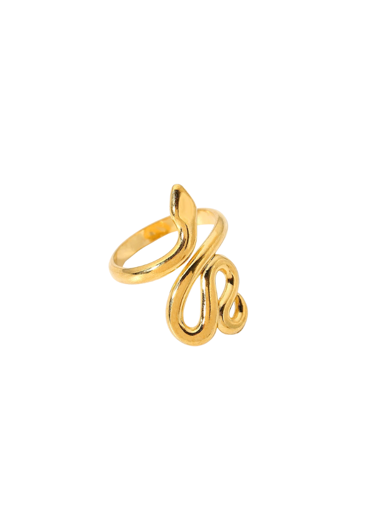 ASVARA Ring